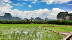 Gallery item for Guilin to Yangshuo Biking Adventure. | Image by Bike Asia