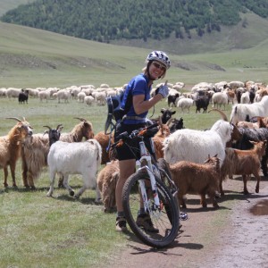 Gallery item for Wild Mongolia and Naadam. | Image by Bike Asia