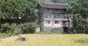Rice Ready - Guizhou: Hidden Hill Tribes | Image by Bike Asia