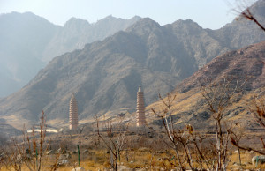 Gallery item for Ningxia: Wine and Dine in the Desert Ride. | Image by Bike Asia